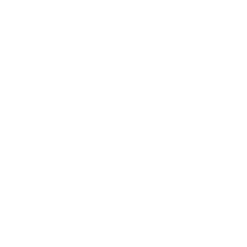 Esin Grup Logo